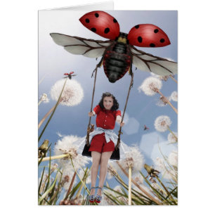 Oscillation de Ladybird