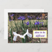 Oser être différent Carte postale Irises (Devant / Derrière)
