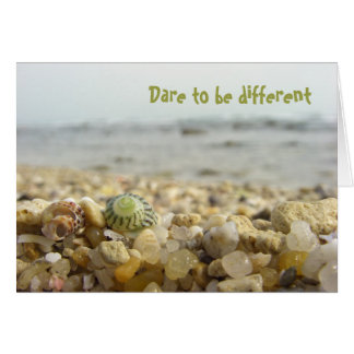 Osez être différent Shell & Pebbles à la plage
