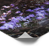 Osho Wisdom Poster van de Verlichting van het Cita (Hoek)