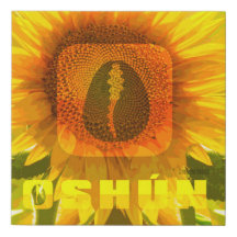 Oshun, godin van schoonheid en lief liefde