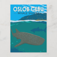 Oslob Cebu Filipijnen Walvis Shark Travel 