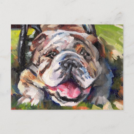 OSNEB Secourir carte postale, SemiGloss (Devant)