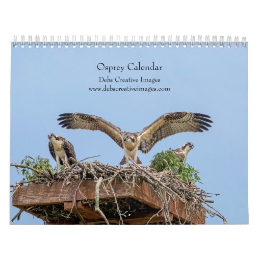Osprey 2026 kalender (Hoes)