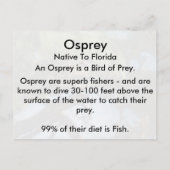 Osprey (4964) Carte postale Apprentissage (Dos)