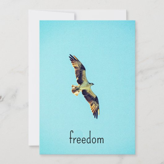 Osprey art bedankkaart (Voorkant)