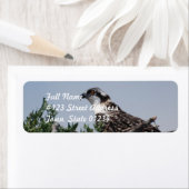 Osprey assis sur le nid Étiquettes (En situation)