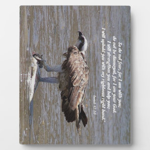 Osprey Bird Fish Wildlife Isaiah Photo Plaque Fotoplaat