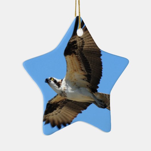 Osprey Bird Ornament (Rechts)