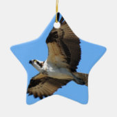 Osprey Bird Ornament (Voorkant)