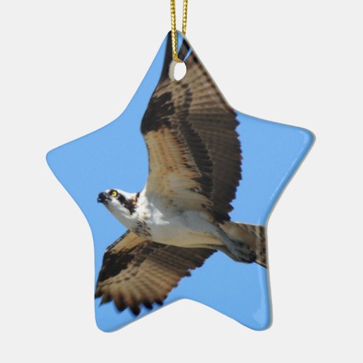 Osprey Bird Ornament (Links)