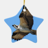 Osprey Bird Ornament (Achterkant)
