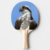 Osprey - Bird - Ping Pong Paddle Tafeltennisbatje (Voorkant)