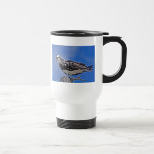 Osprey Bird Reisbeker