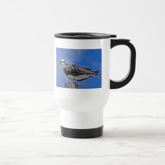 Osprey Bird Reisbeker (Rechts)