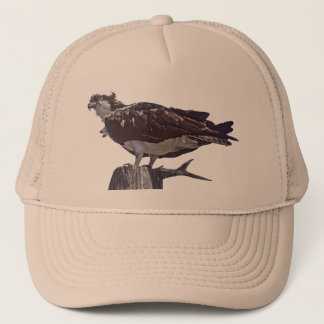 Osprey Bird Trucker Pet