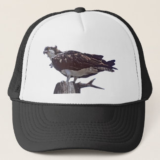 Osprey Bird Trucker Pet