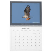Osprey Calendar Kalender (Jan 2027)