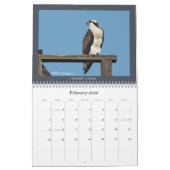 Osprey Calendar Kalender (Feb 2026)
