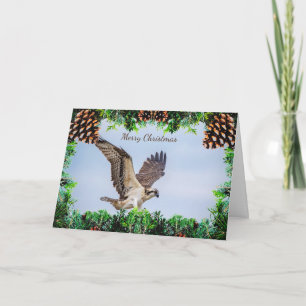 Osprey Christmas Kaart