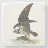 Osprey door Audubon Stenen Onderzetter (Voorkant)