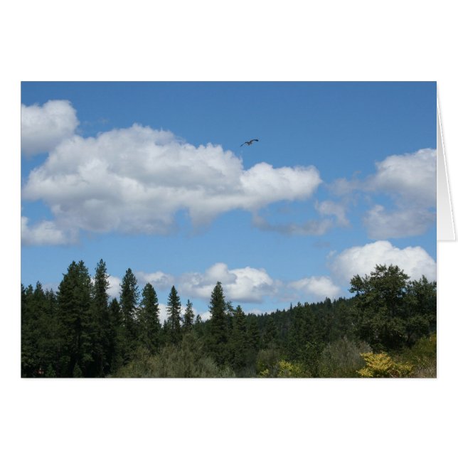 Osprey en pleine ascension (Devant horizontal)