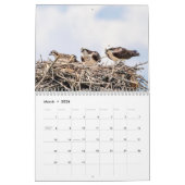 Osprey familie 2026 kalender (Mar 2026)