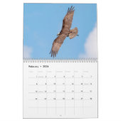 Osprey familie 2026 kalender (Feb 2026)