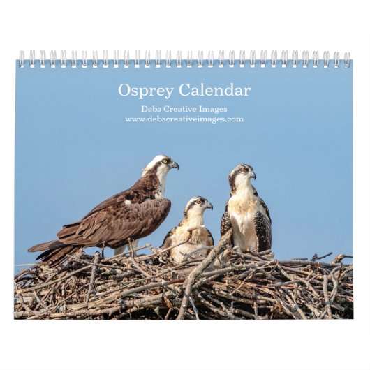 Osprey familie 2026 kalender (Hoes)