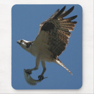 Osprey/Fish Mousepad Muismat