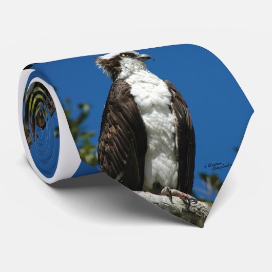 Osprey hawk Mannen Stropdas (Opgerold)