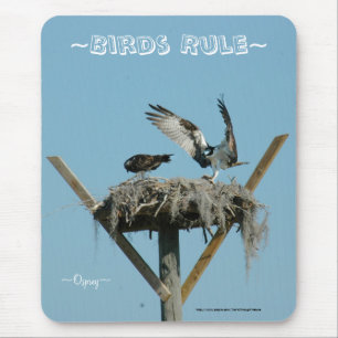 Osprey hawk nest Mousepad Muismat