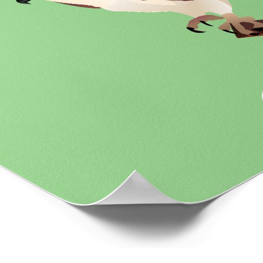 Osprey Hawk Raptor Thunder_Cove Poster (Hoek)