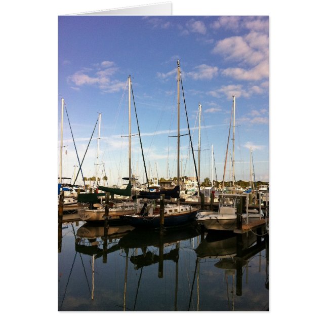 Osprey in de Masthead (Voorkant)