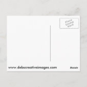 Osprey in een nest briefkaart (Achterkant)