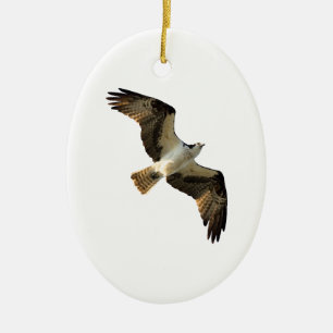 Osprey in Flight Logo Keramisch Ornament
