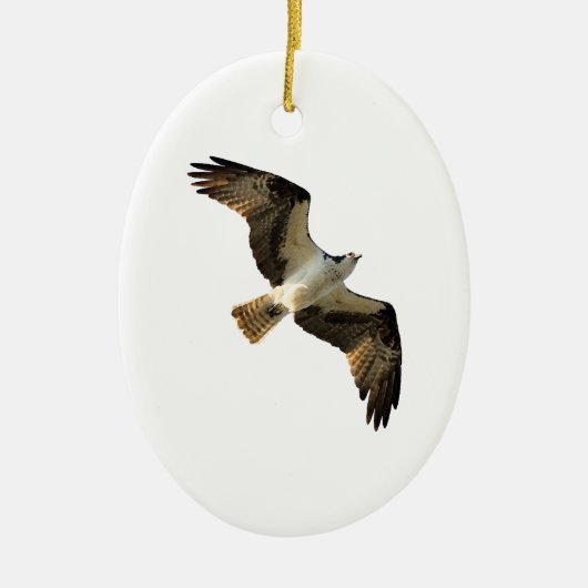 Osprey in Flight Logo Keramisch Ornament (Voorkant)