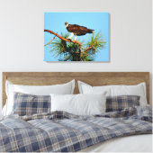 Osprey in het wild canvas afdruk (Insitu (Slaapkamer))
