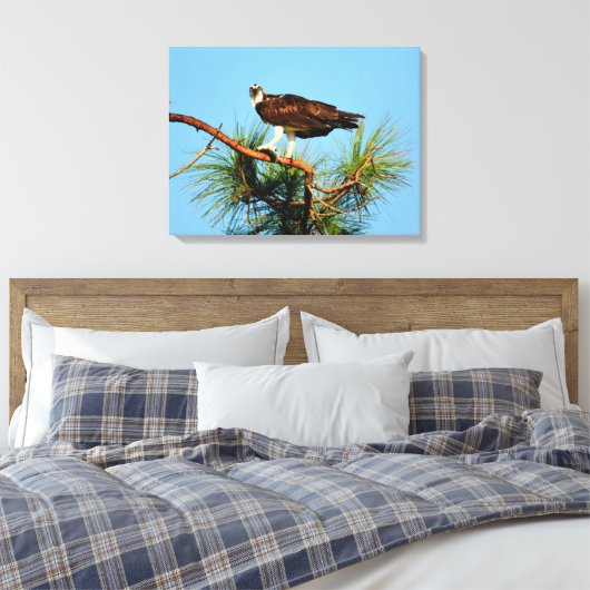 Osprey in het wild canvas afdruk (Insitu (Slaapkamer))