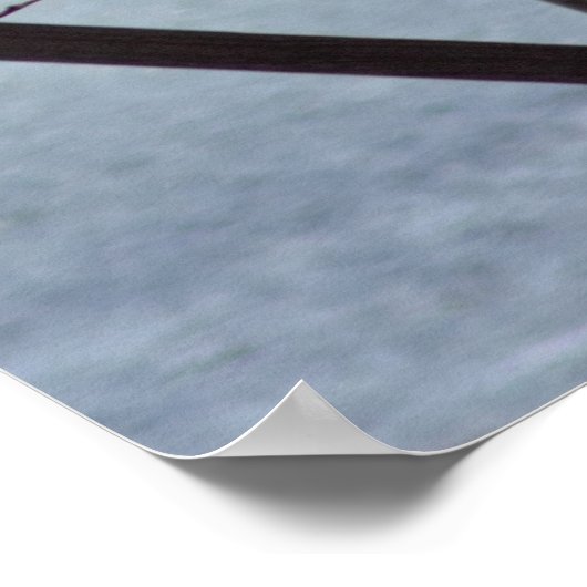 Osprey in Nest Poster (Hoek)