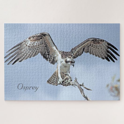 Osprey Jigzaag Puzzle Legpuzzel (Horizontaal)