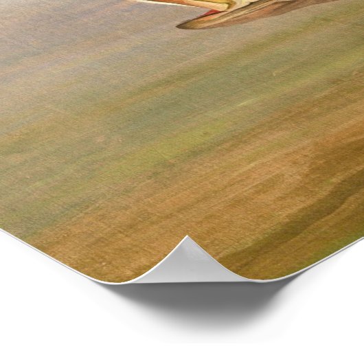 Osprey - John James Audubon Fine Art Poster (Hoek)