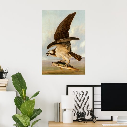 Osprey - John James Audubon Poster d'art (Bureau à domicile)