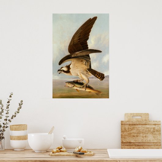 Osprey - John James Audubon Poster d'art (Cuisine)