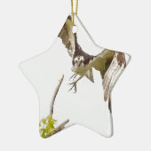 Osprey komt u aan keramisch ornament (Links)