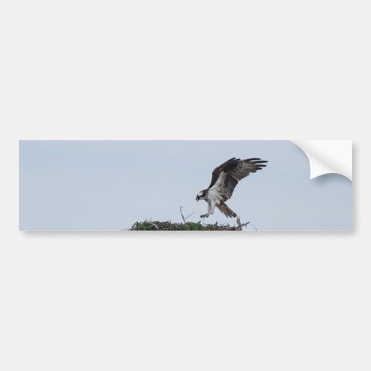 Osprey Landing Bumperstickers (Voorkant)