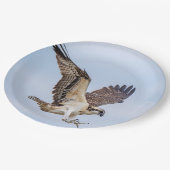 Osprey-landing in het nest papieren bordje (Gekanteld)