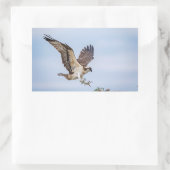 Osprey-landing in het nest rechthoekige sticker (Tas)