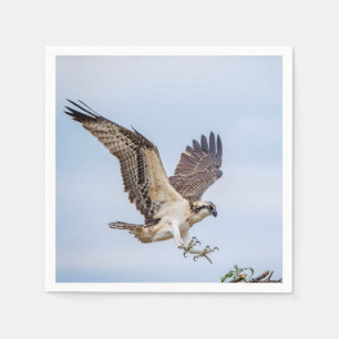 Osprey-landing in het nest servetten