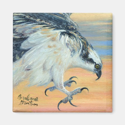 "Osprey Landing" Magneet (Voorkant)